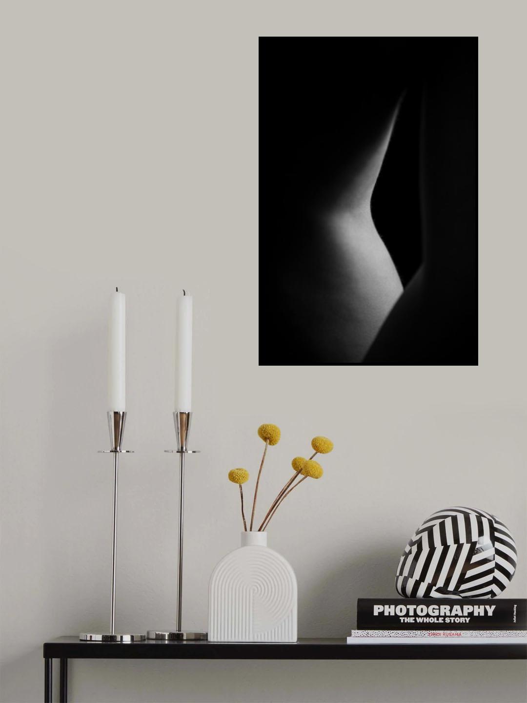 Lines Poster och Canvastavla