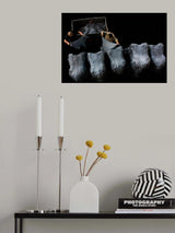leather... Poster och Canvastavla