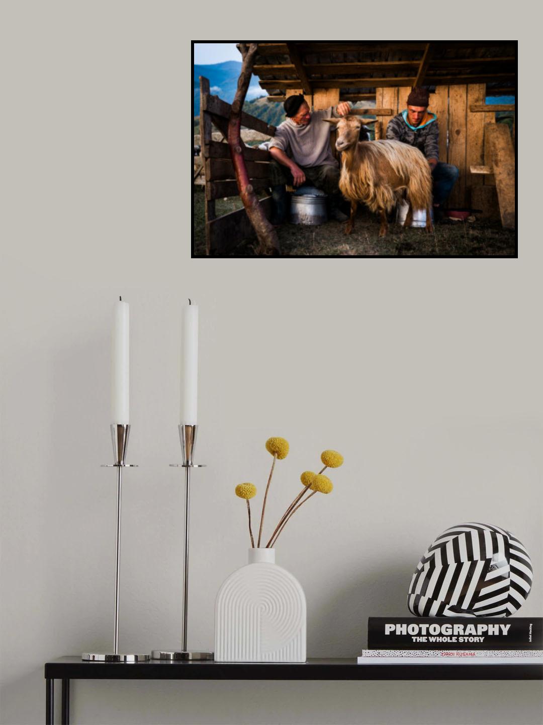 Poster och Canvastavla