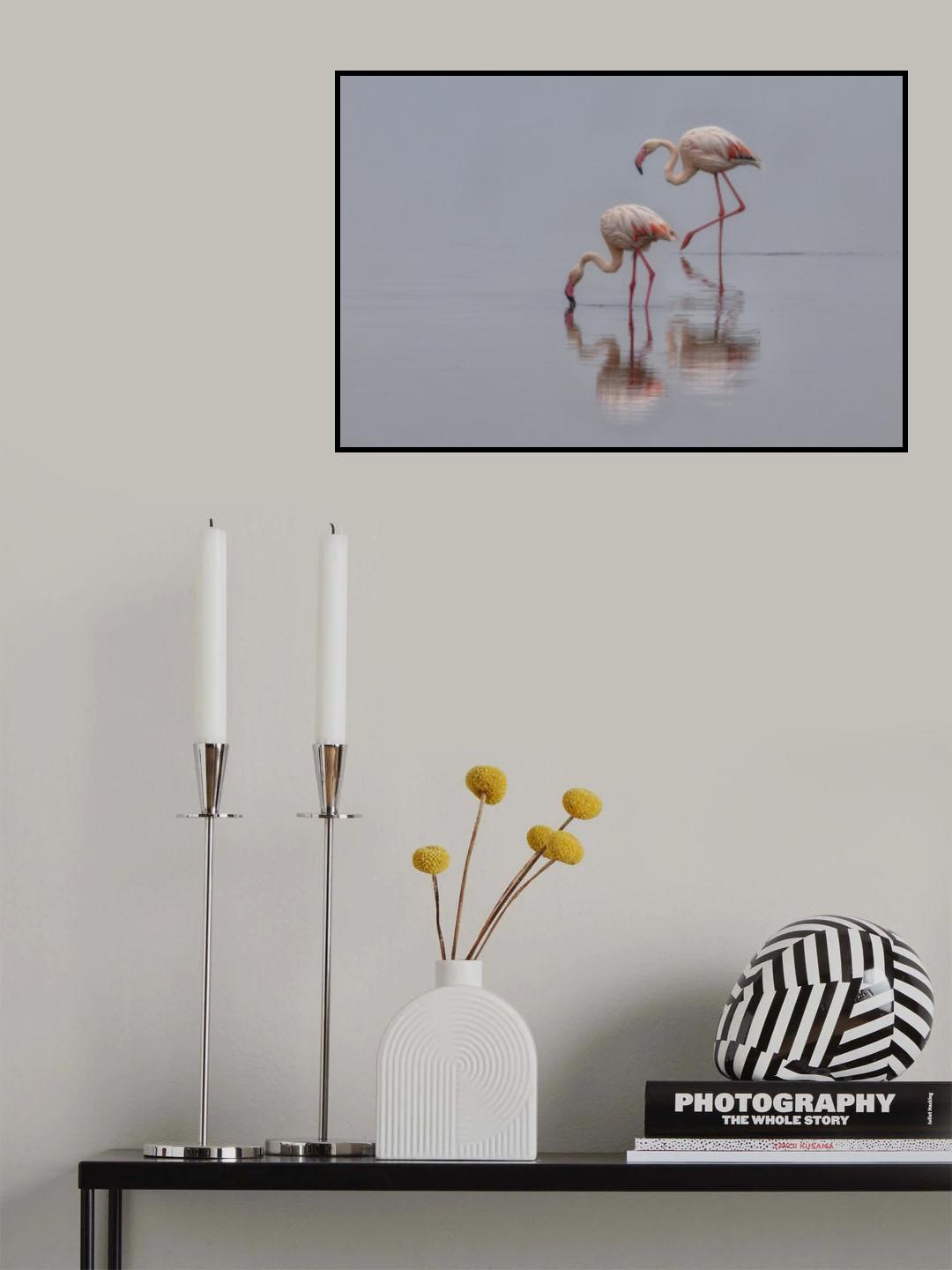 Flamingos Poster och Canvastavla