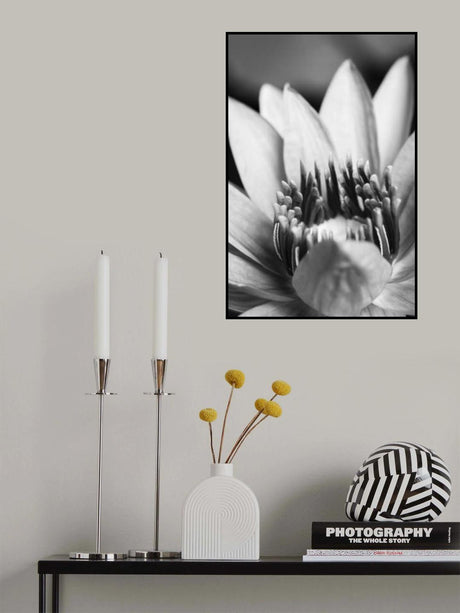 Flower, close up Poster och Canvastavla