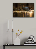 Golden Goose Poster och Canvastavla