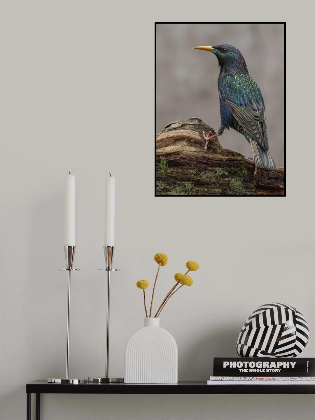 Flamboyant Poster och Canvastavla