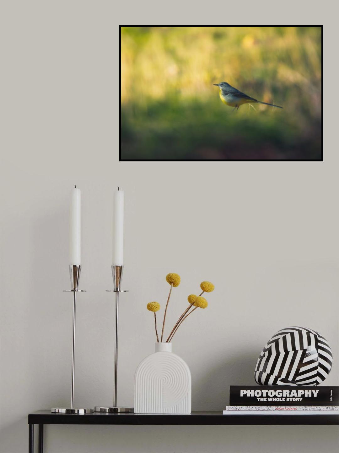 Grey Wagtail Poster och Canvastavla