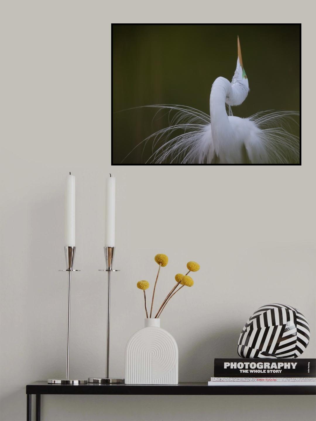 Display Poster och Canvastavla