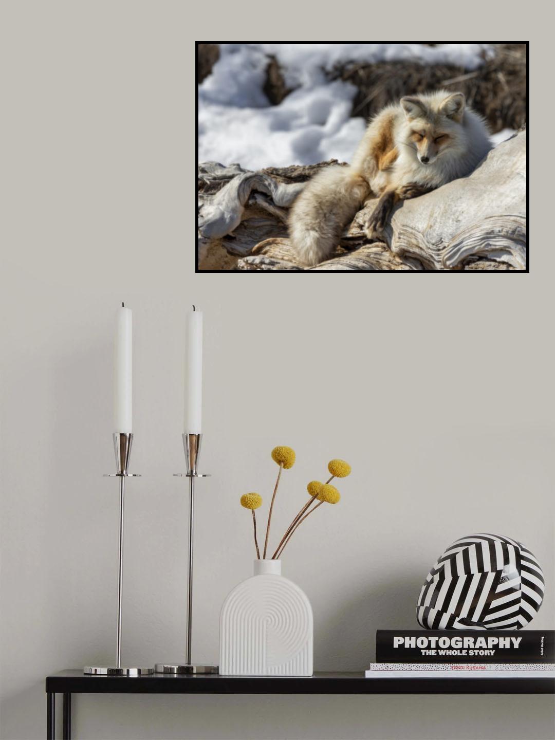 Poster och Canvastavla