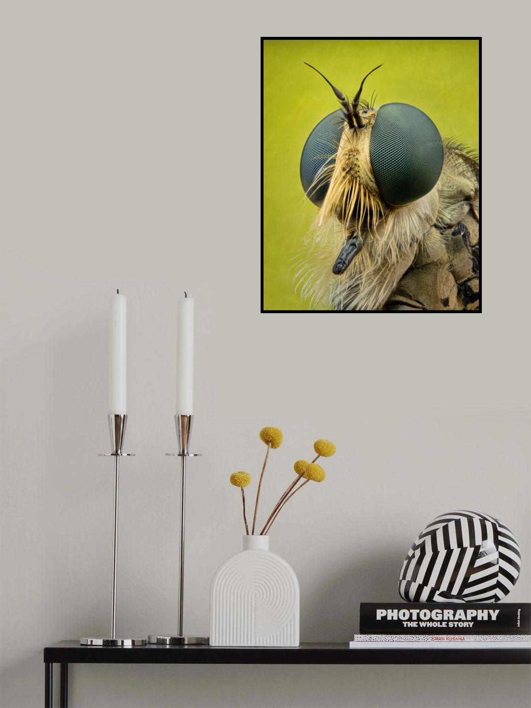 Robberfly Poster och Canvastavla