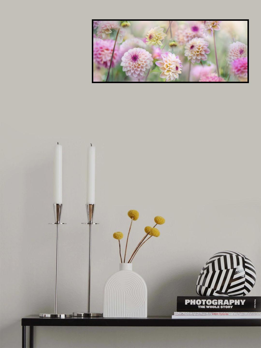 Dahlia Field Poster och Canvastavla