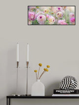 Dahlia Field Poster och Canvastavla