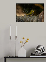Chilling Poster och Canvastavla