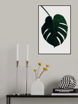 Monstera Natural 35 Poster och Canvastavla