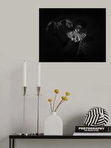 Beneath Your Wings Poster och Canvastavla