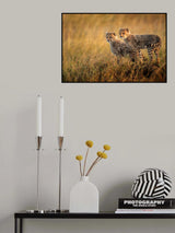Where is the prey ? Poster och Canvastavla