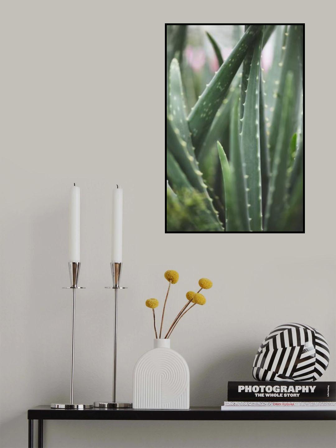 Cacti Poster och Canvastavla