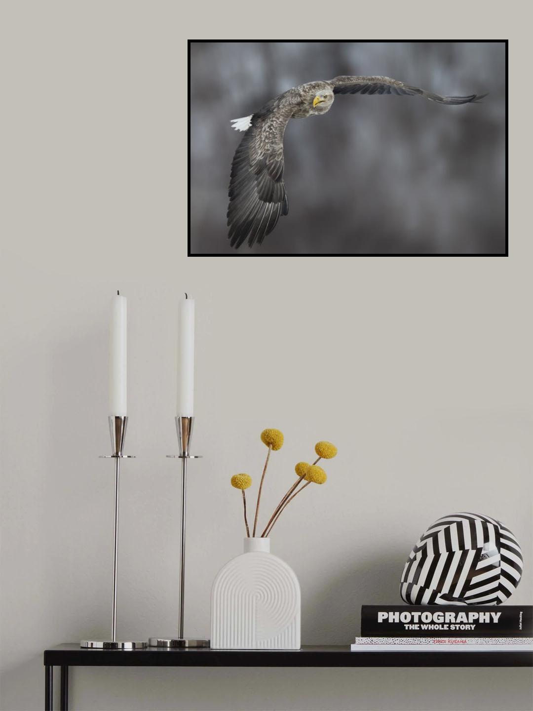 Eagle Poster och Canvastavla