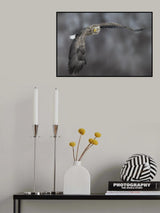 Eagle Poster och Canvastavla