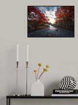 Fall Colors Poster och Canvastavla