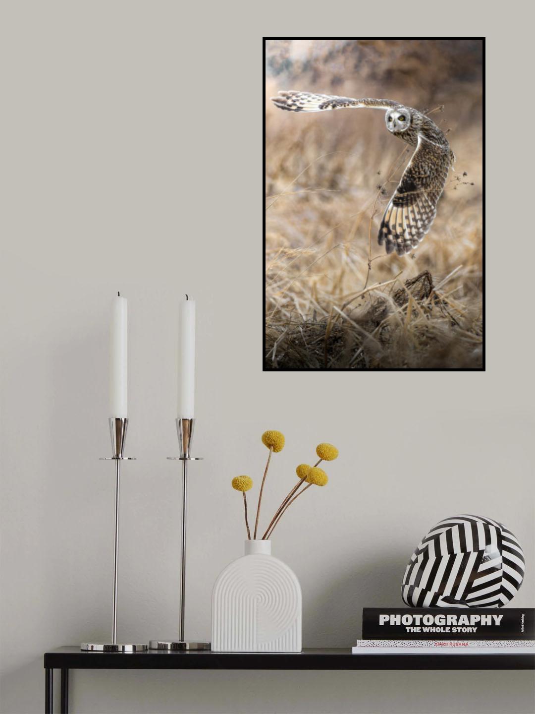 fly into the sky Poster och Canvastavla