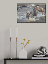 "Air Gnu"  - charter flights only Poster och Canvastavla