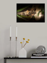 Caughn by the light Poster och Canvastavla