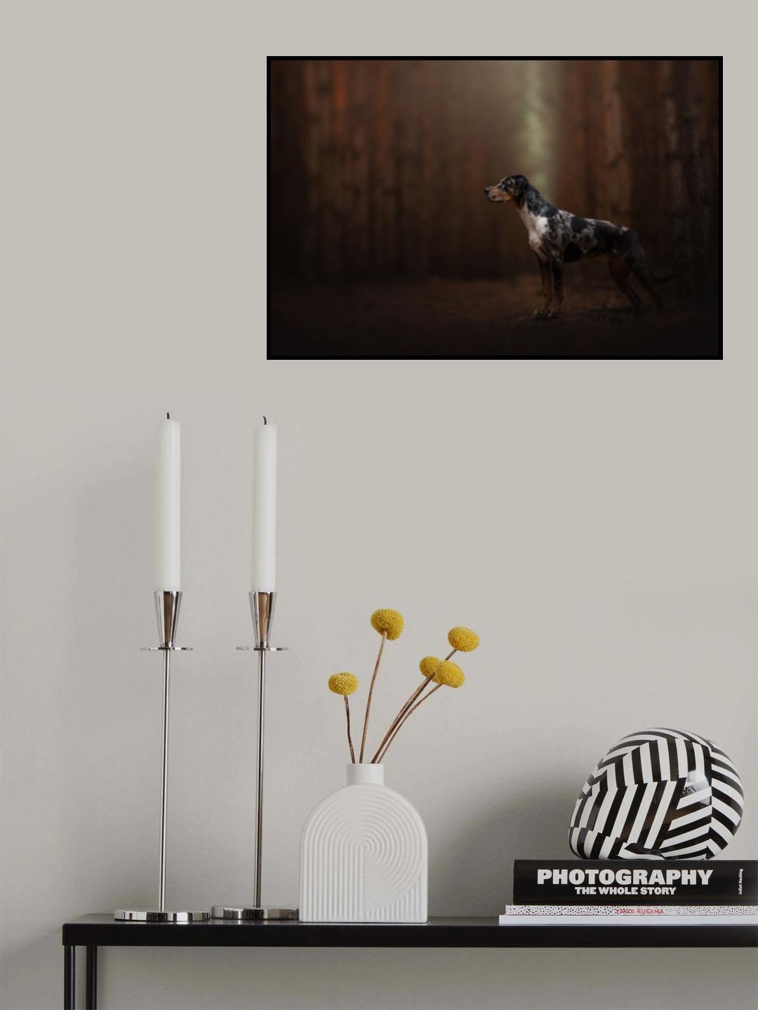 Forest fairy Poster och Canvastavla