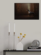 Forest fairy Poster och Canvastavla