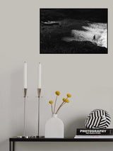 Desire Poster och Canvastavla