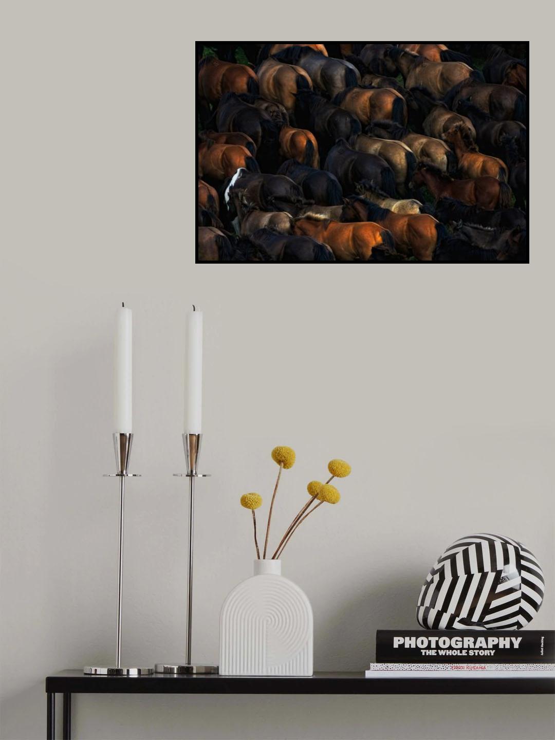 Wild horses Poster och Canvastavla