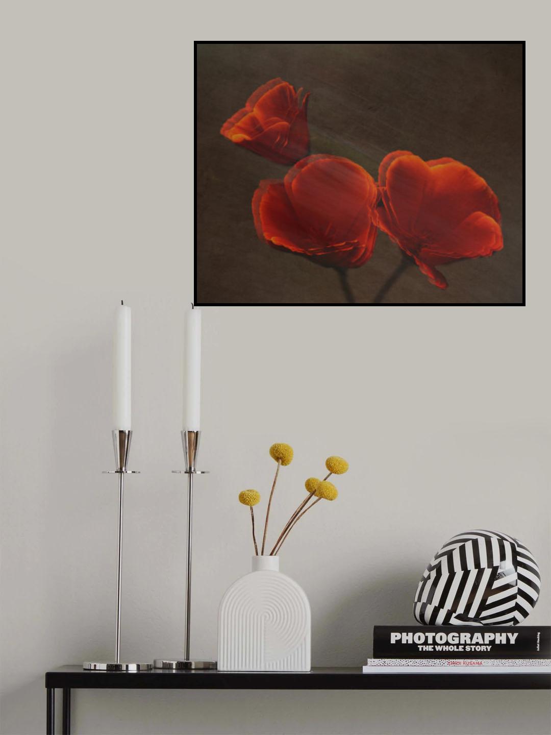 Poppys Poster och Canvastavla