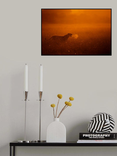 Puff Poster och Canvastavla
