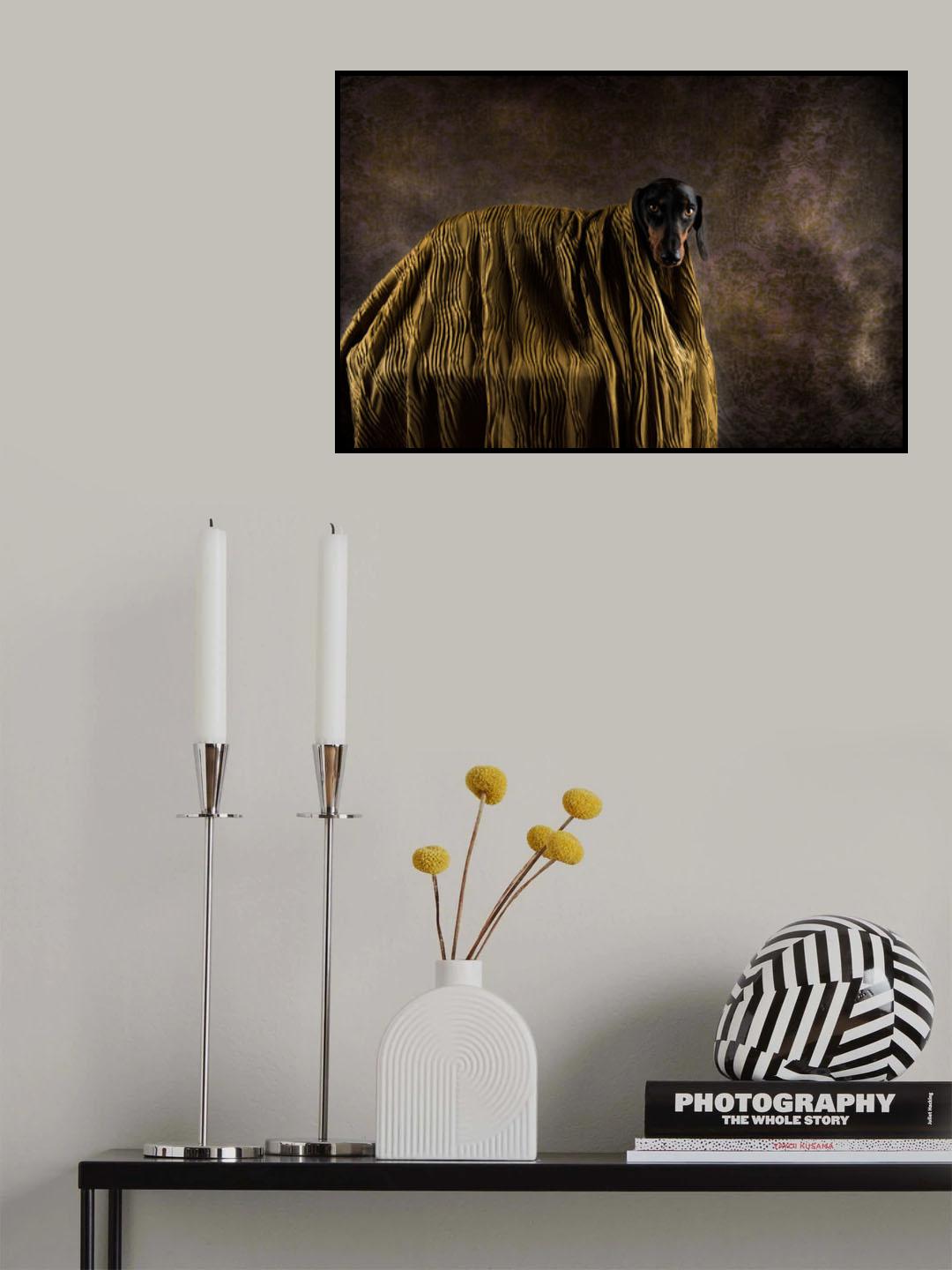 Little Dandy Poster och Canvastavla