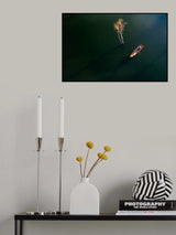 New day in Tuyen Lam lake Poster och Canvastavla