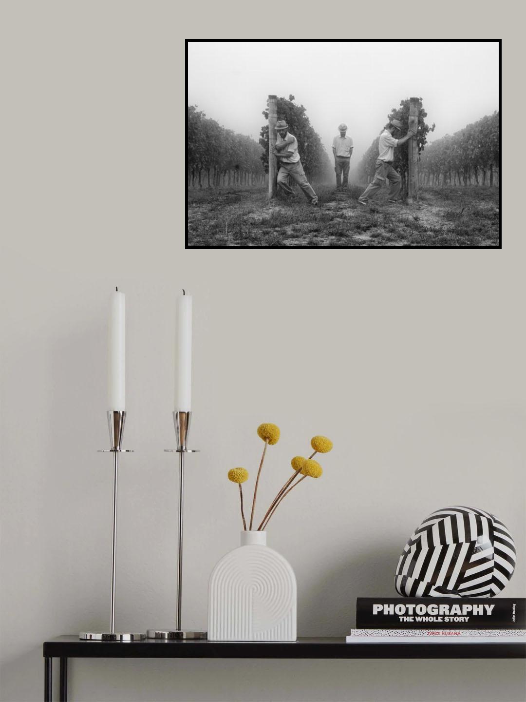 Curtain Poster och Canvastavla