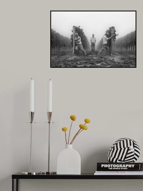 Curtain Poster och Canvastavla