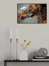 Life and death Poster och Canvastavla