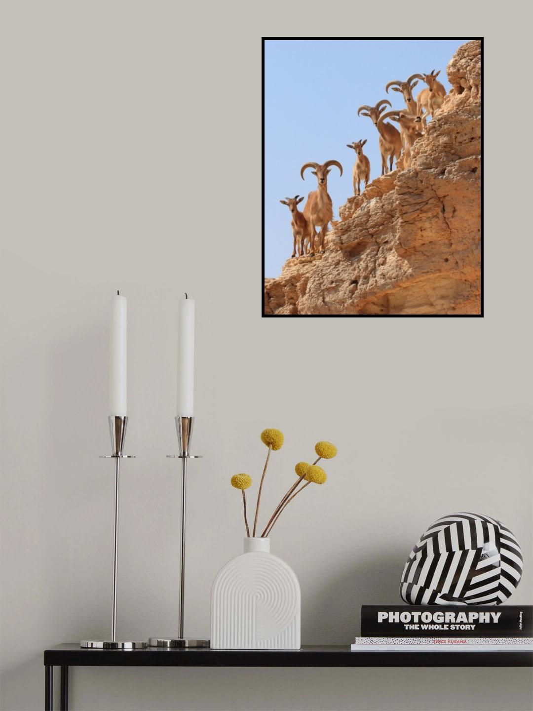 Curiosity Poster och Canvastavla