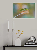 Parallels Poster och Canvastavla