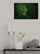Catch of the Day Poster och Canvastavla