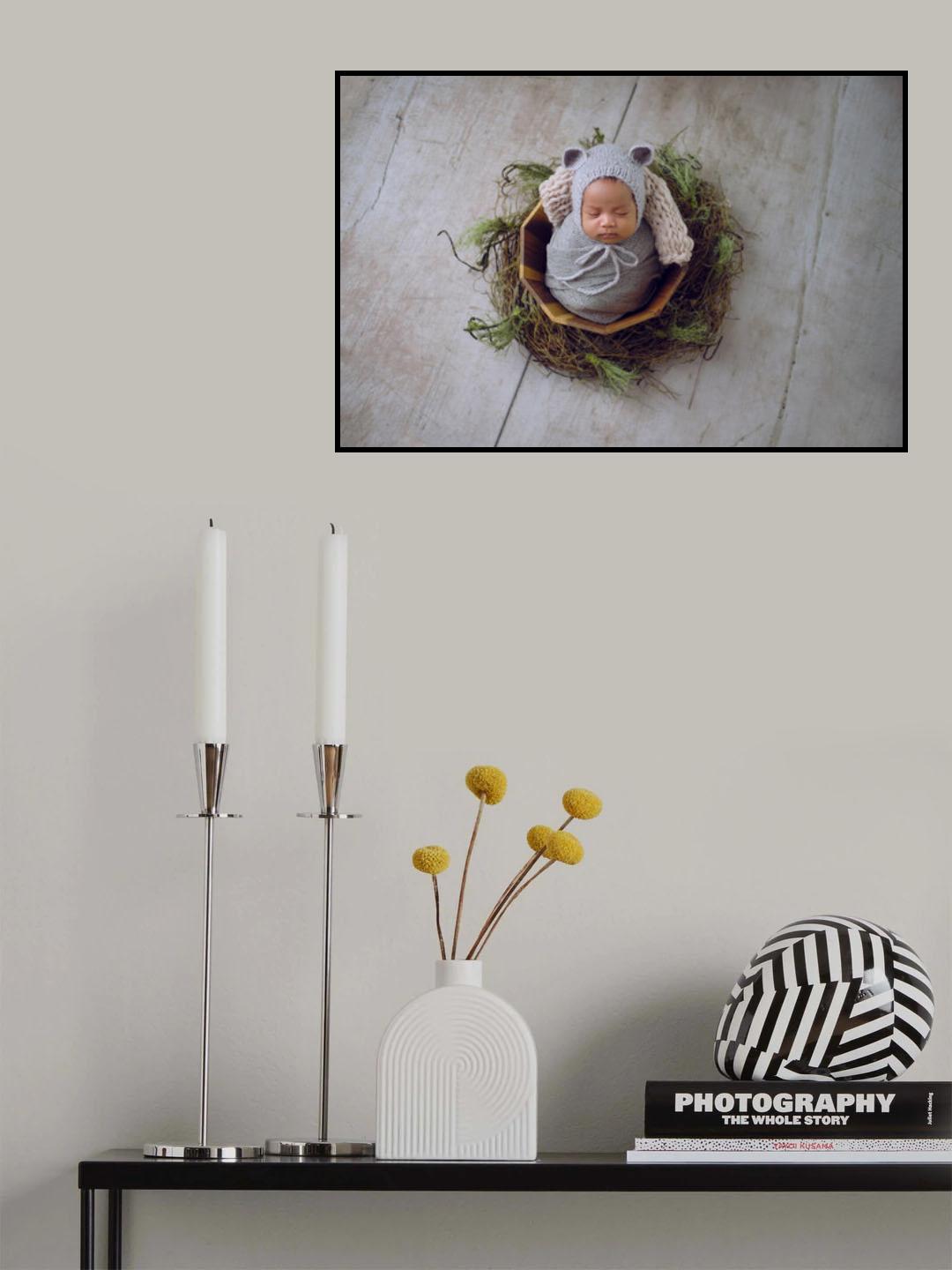 Baby's nest Poster och Canvastavla