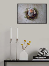 Baby's nest Poster och Canvastavla