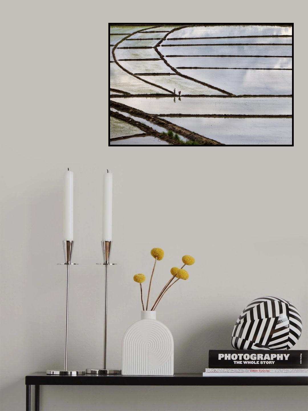 diagonel fields Poster och Canvastavla