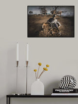 Boy from Mundari collects cow dung Poster och Canvastavla