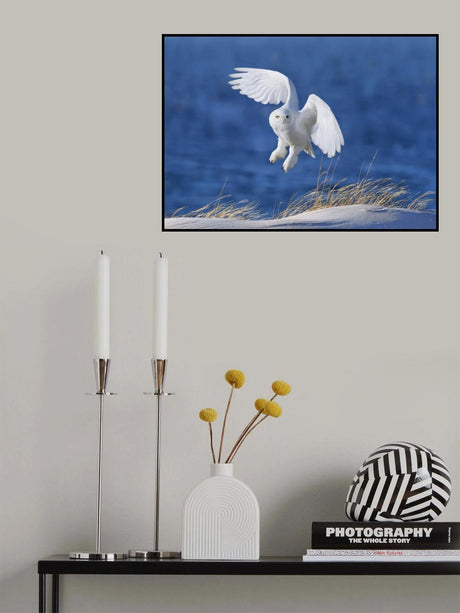 White Spirit demon Poster och Canvastavla