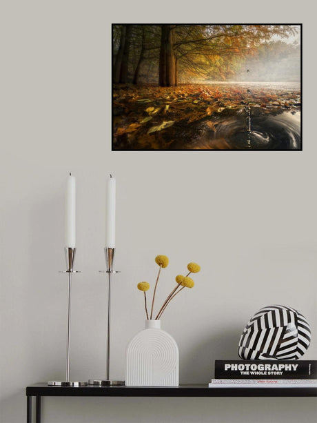 Drops between the autumn colors Poster och Canvastavla