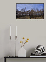 image of a forest after a fire Poster och Canvastavla