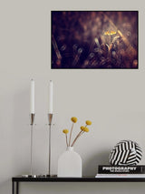 Dark Violet Poster och Canvastavla