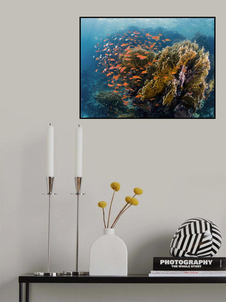 Reefscape Poster och Canvastavla