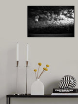 Poster och Canvastavla