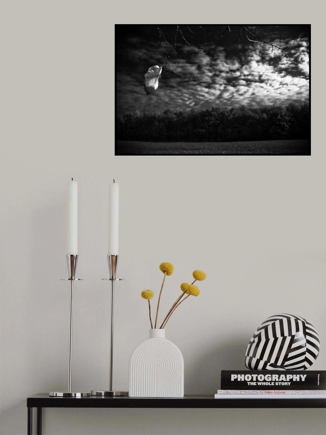 Poster och Canvastavla