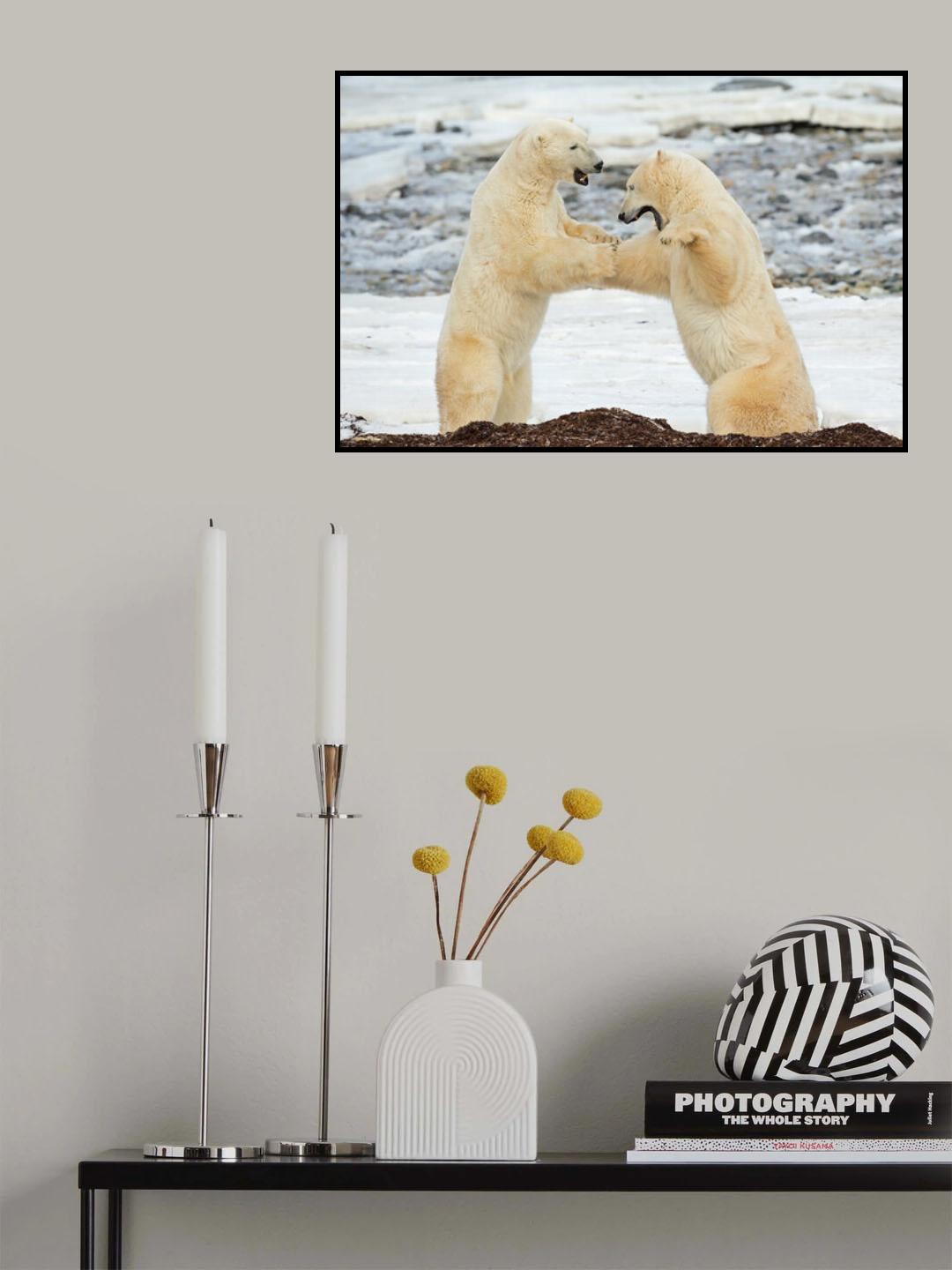 Fight or Fun? Poster och Canvastavla